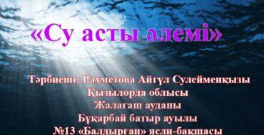 . Су асты әлемі, туралы білімдерін,Балықтар,сегізаяқ,тасбақа