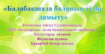 мектепке дейінгі мекемеде ,Балабақшада, қазақ тілін үйрету, баланың тілін дамыту, бала тілі