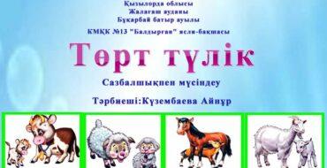 төрт түлік мал туралы, слайдтар, қазақша слайдтар