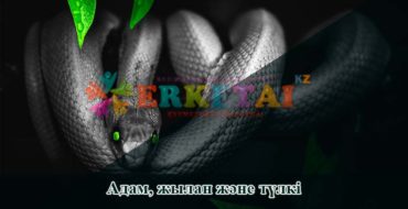 жылан туралы ертегі